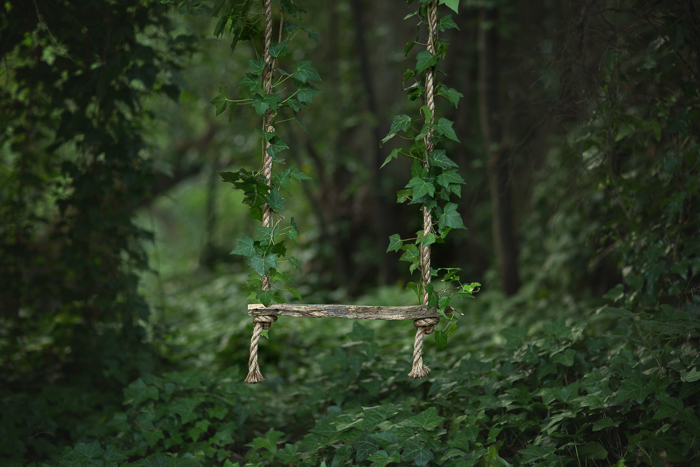 Swing in the forest Digital backgrounds & Backdrops for Photoshop