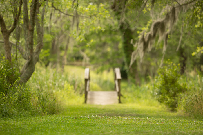 Summer bridge Digital backgrounds & Backdrops for Photoshop
