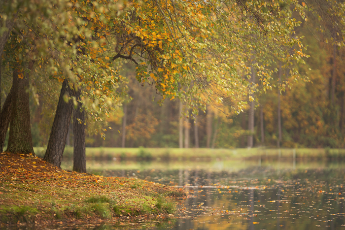 Lake in the fall Digital backgrounds & Backdrops for Photoshop