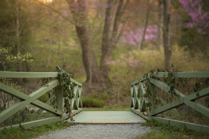 Mountain Trails in flowers Digital backgrounds & Backdrops for Photoshop