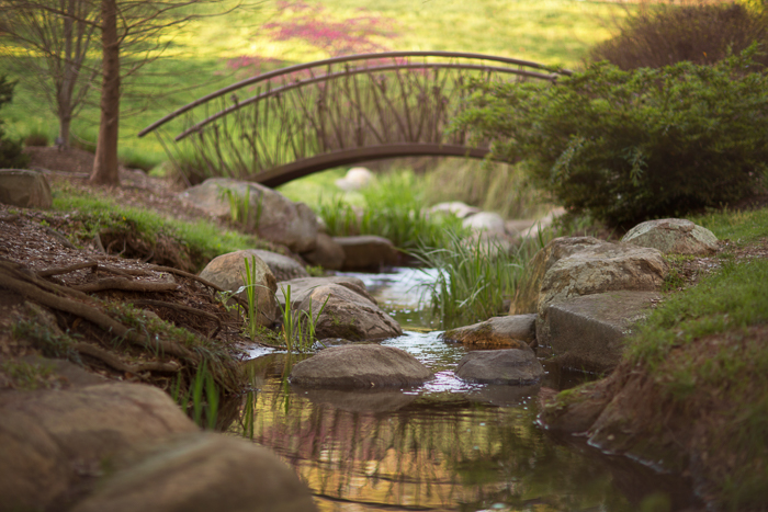 Summer Bridge Digital backgrounds & Backdrops for Photoshop