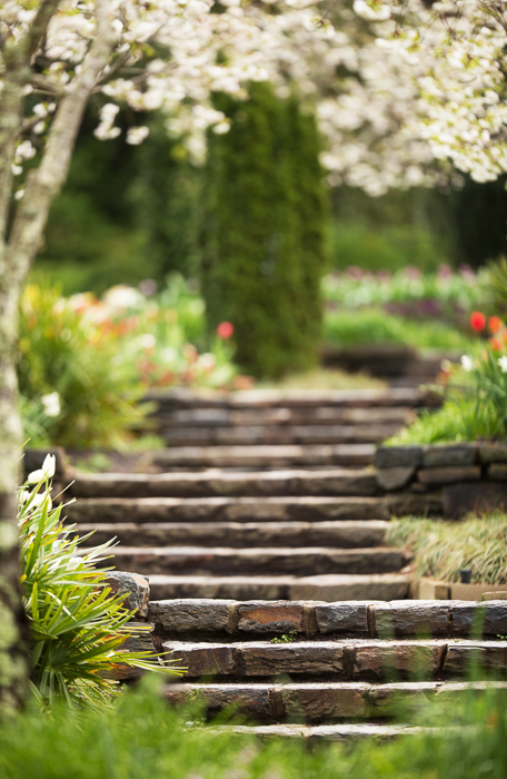 Summer trail Digital backgrounds & Backdrops for Photoshop
