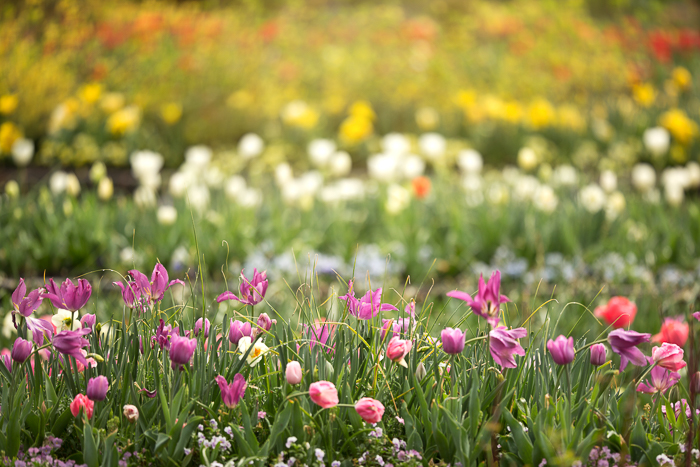 Spring 5-2.jpg
