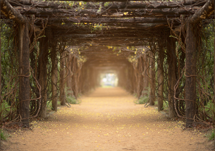 Spring Digital backgrounds & Backdrops for Photoshop