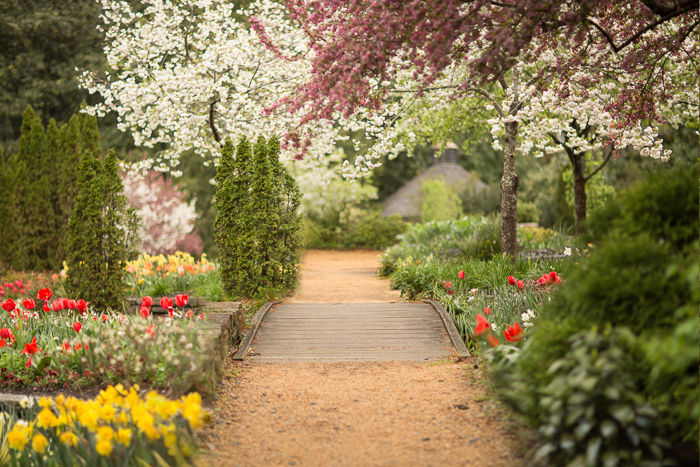 Spring add on 15.jpg