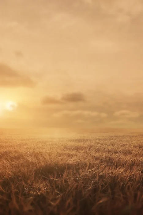 Summer or Fall Digital backgrounds & Backdrops for Photoshop
