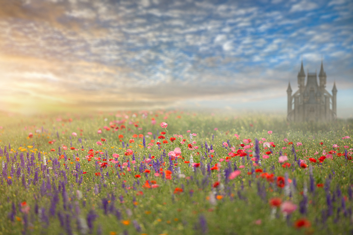 Flower field with Castles Digital backgrounds & Backdrops for Photoshop