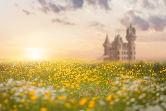 Summer Digital backgrounds & Backdrops for Photoshop