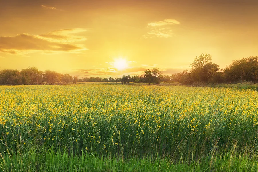 KCC Late Summer /Early Fall Digital backgrounds w/ Light hacks — KCC Photoshop Actions