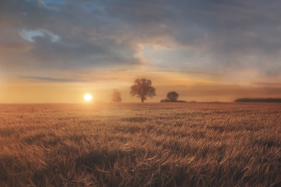 KCC Summer Digital Background/Backdrop