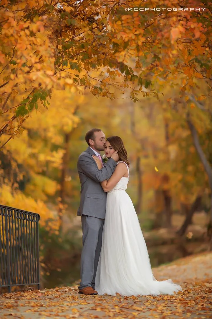 Fall or Autumn Digital backgrounds/Backdrops for Photoshop, CC, Photoshop elements or Gimp! 