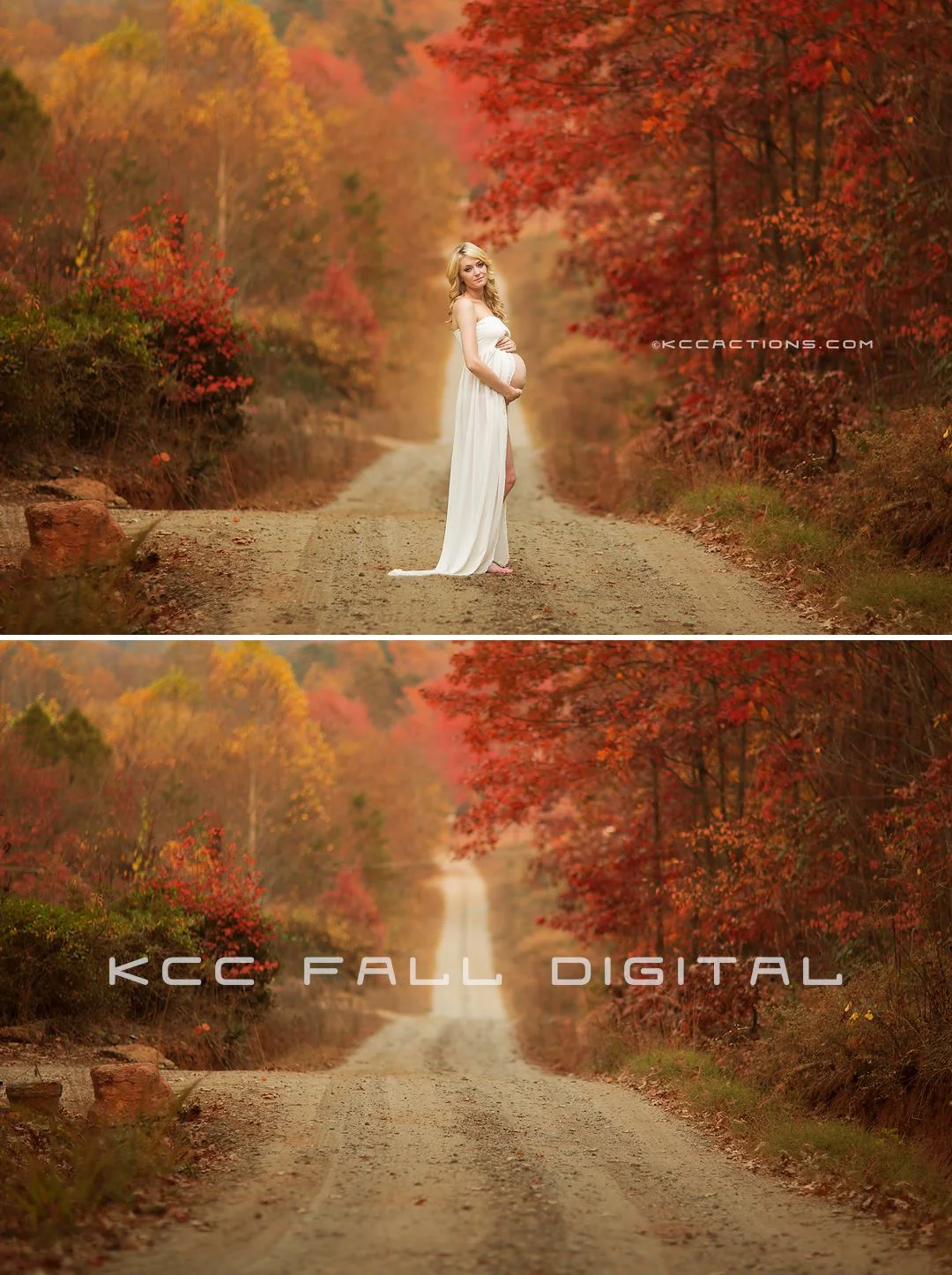 Fall or Autumn Digital backgrounds/Backdrops for Photoshop, CC, Photoshop elements or Gimp!
