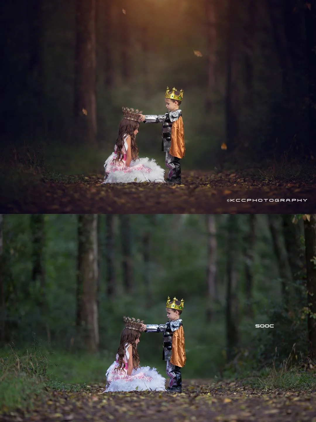 KCC Fall Photoshop Actions & Overlays
