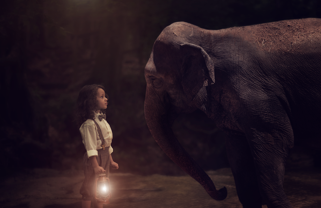 Photoshop Actions & Overlays