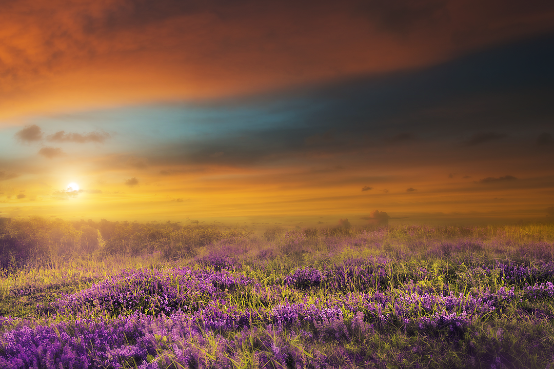 spring3small.png
