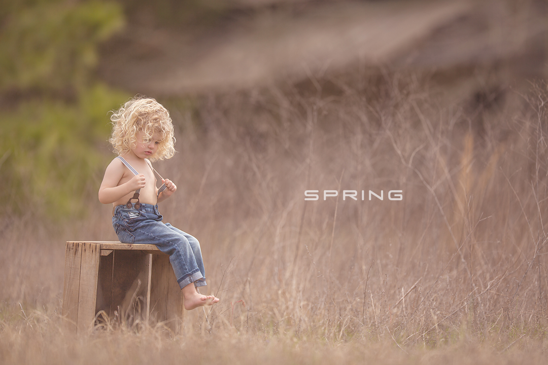 spring.jpg