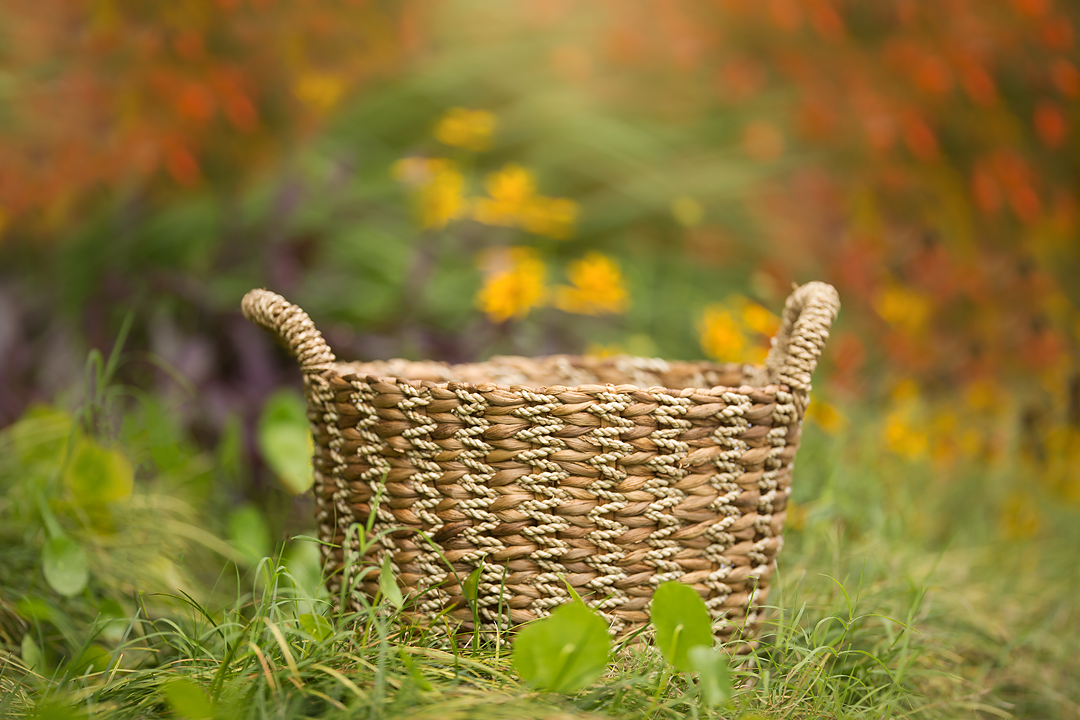 Newborn in Flower fields Summer trail digital background sets