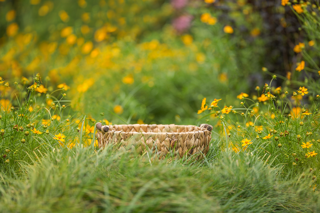 Newborn in Flower fields Summer trail digital background sets