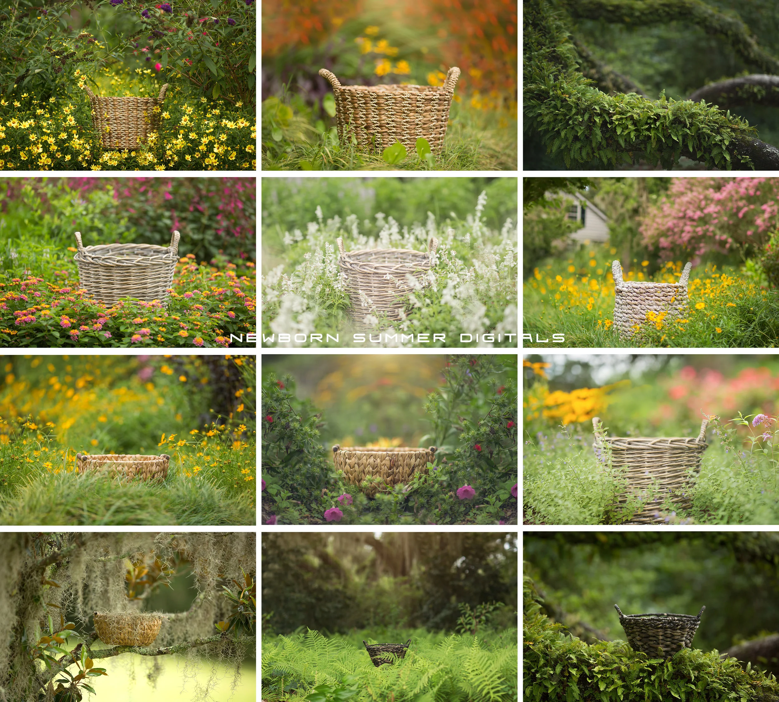 Newborn in Flower fields Summer trail digital background sets