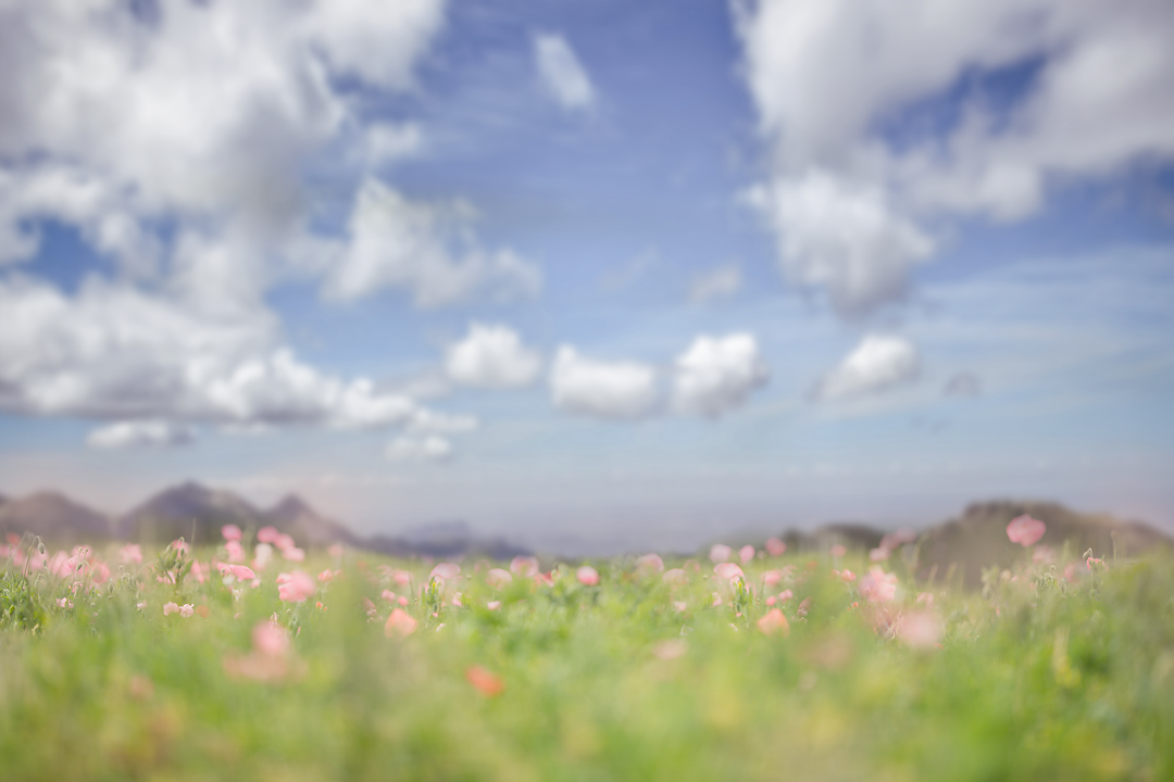 940A0039small.png