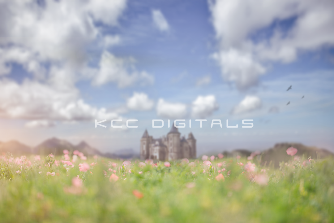 Summer Flower field with castle digital background sets for photographers