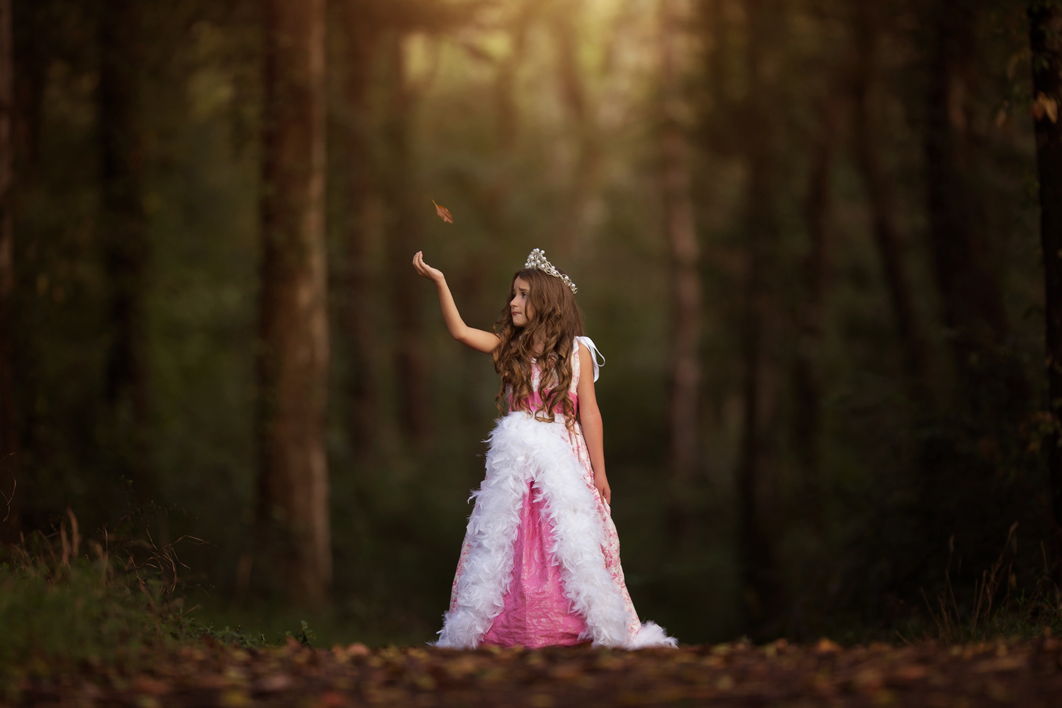 Fall Photoshop actions