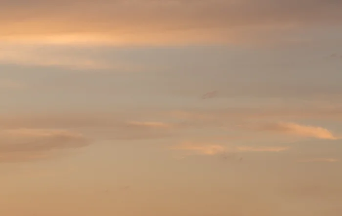 Desert dusk.jpg