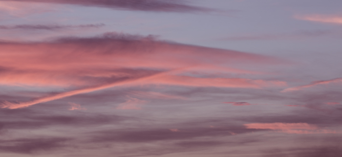 fade from pink.jpg