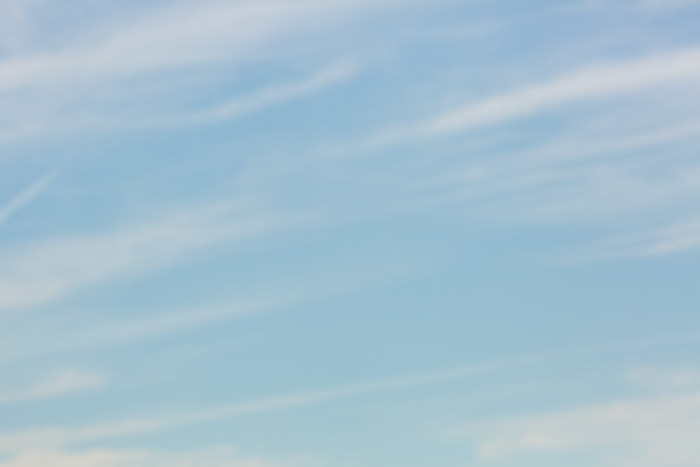 beautiful morning_Shallow.jpg