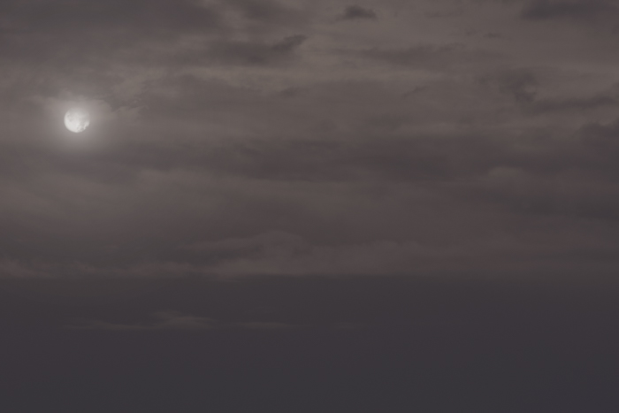 moondance.jpg