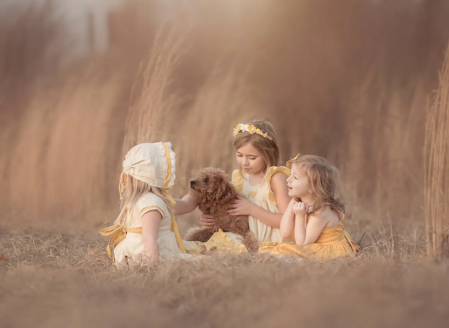 Photographers Light overlays for photoshop