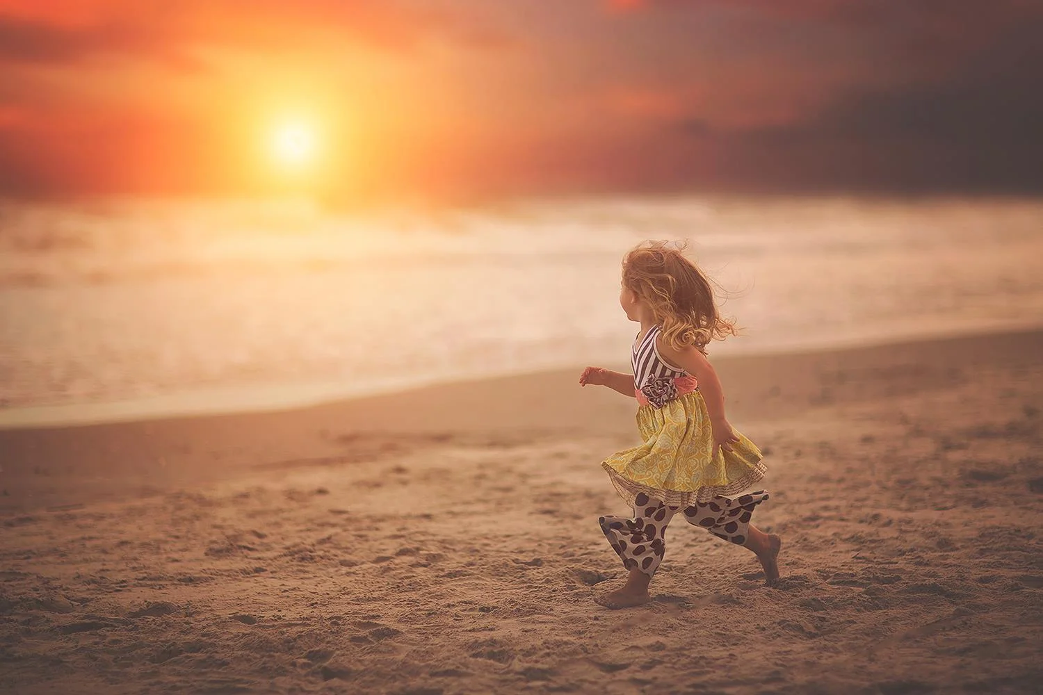 Photographers Light and sun overlays for photoshop