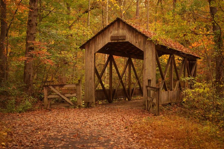 KCC Fall Digital Backgrounds/Backdrops 2017 -1