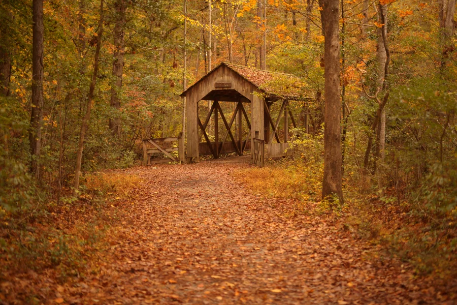 1_fall17-2.jpg