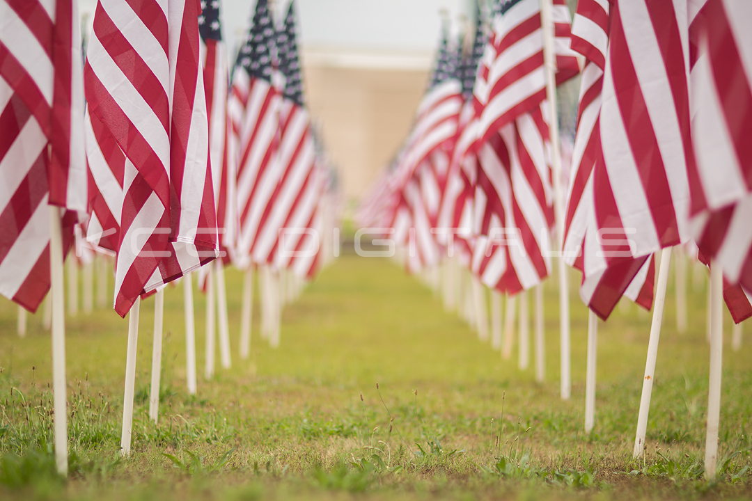 Flags2_3small.jpg