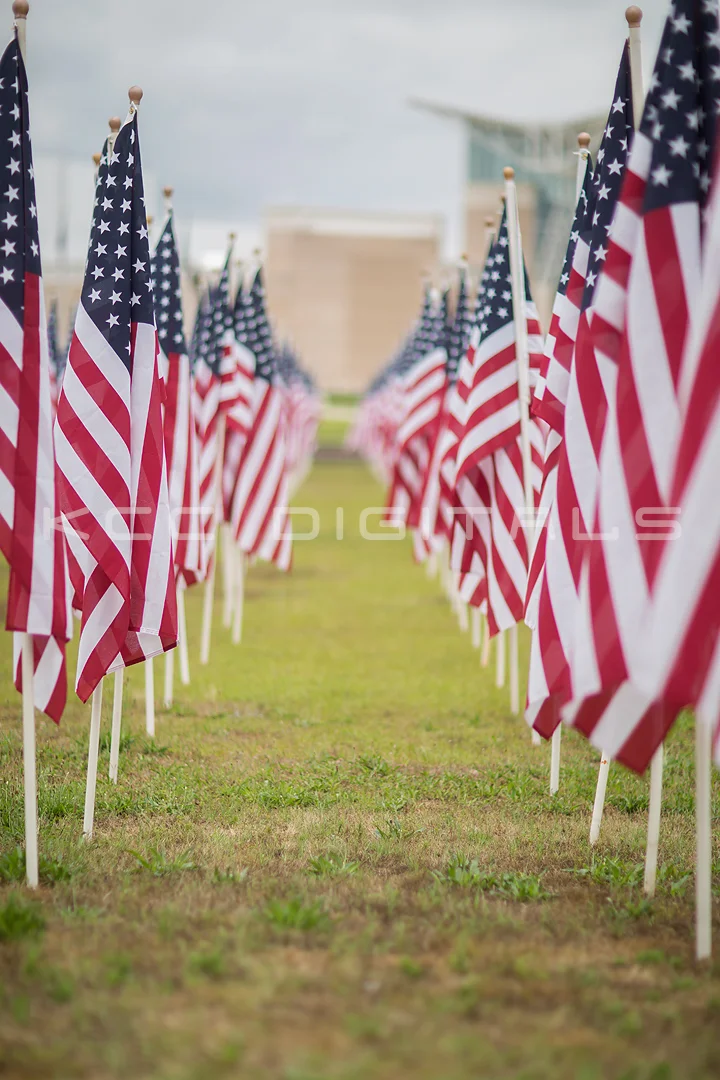 Flags2_5small.jpg