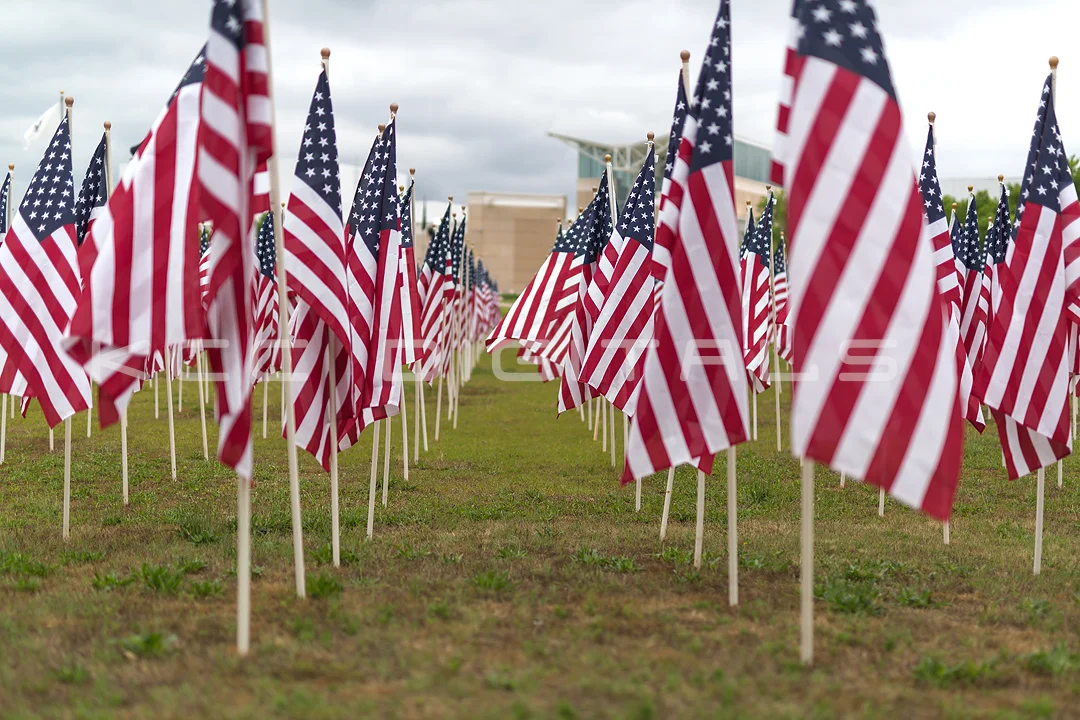 Flags2_6small.jpg