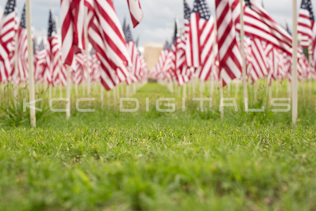 Flags2_14small.jpg