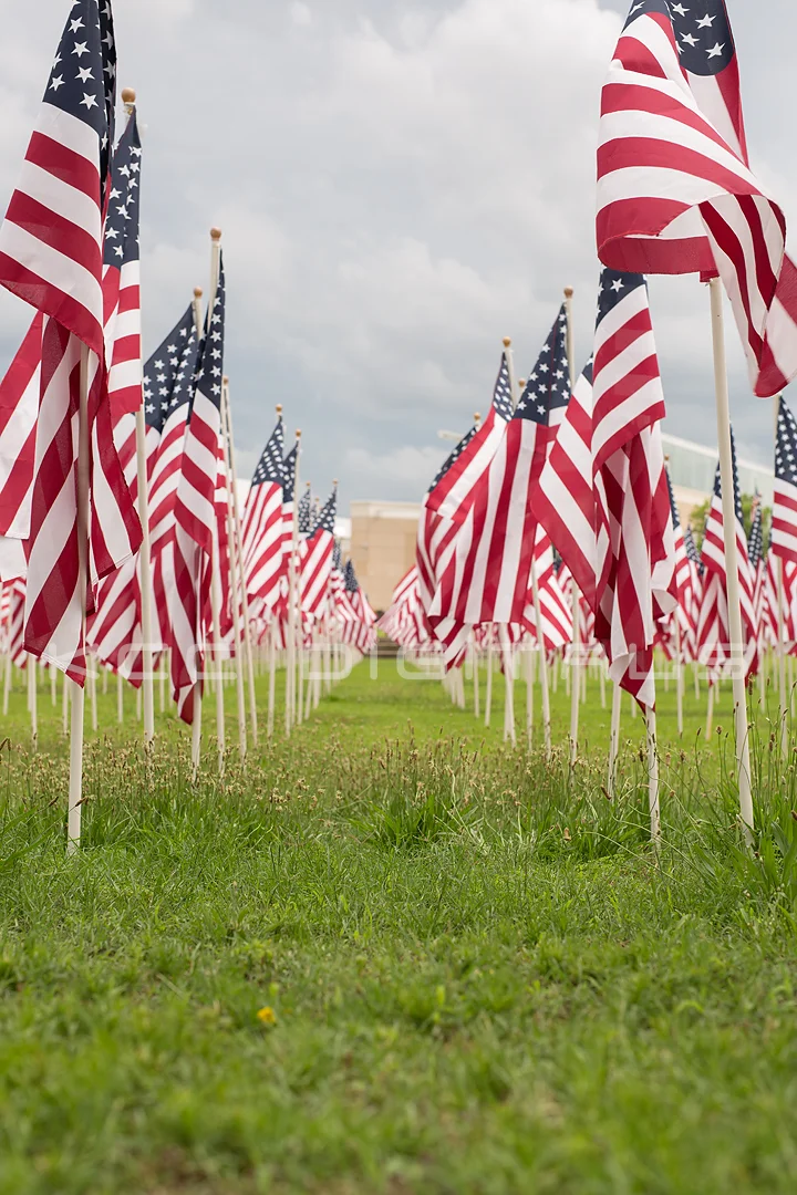 Flags2_15small.jpg