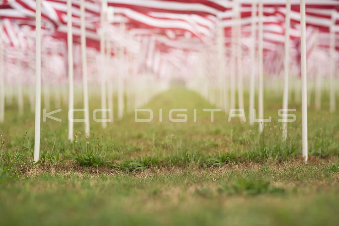 *NEW* KCC Memorial Flag digital backgrounds