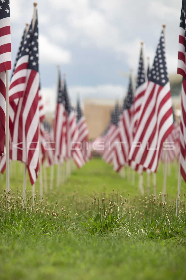 Flags2_9small.jpg