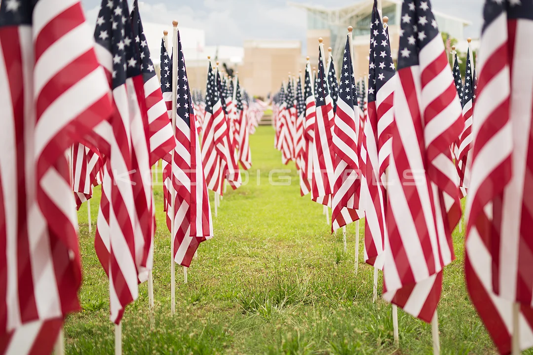 Flags2_12small.jpg