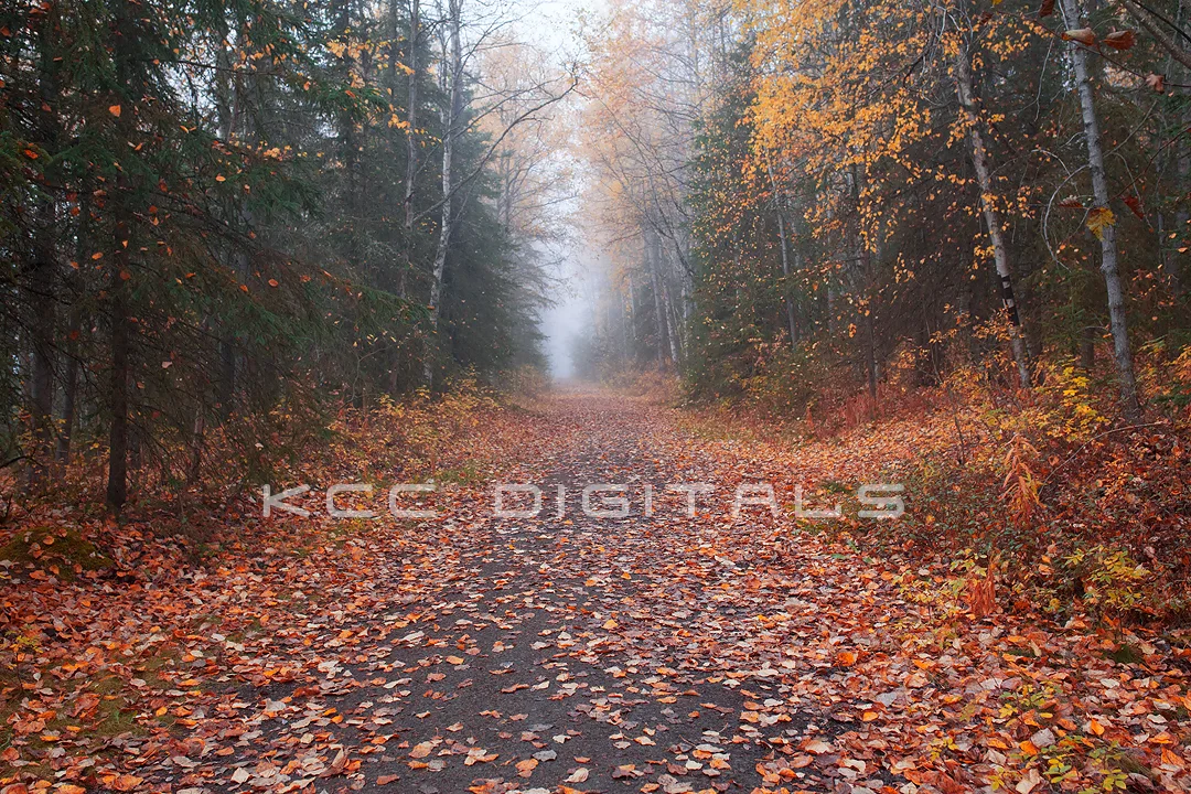 FALL_10_18_SMALL.jpg