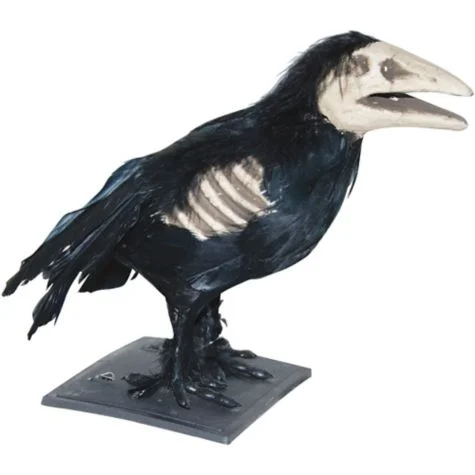This 'Foam Skeleton Crow' wasn't exactly built to last. Source . 