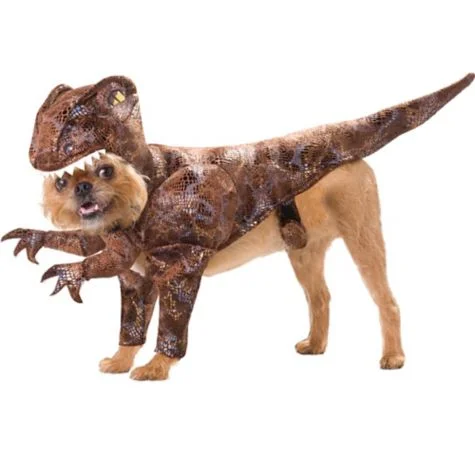 Yes, even your dog's costume ought to be conflict-free. Source .