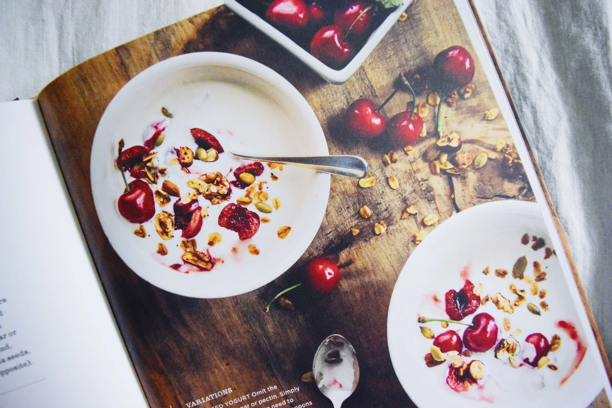 Nice, Thick Nondairy Yogurt, p. 60