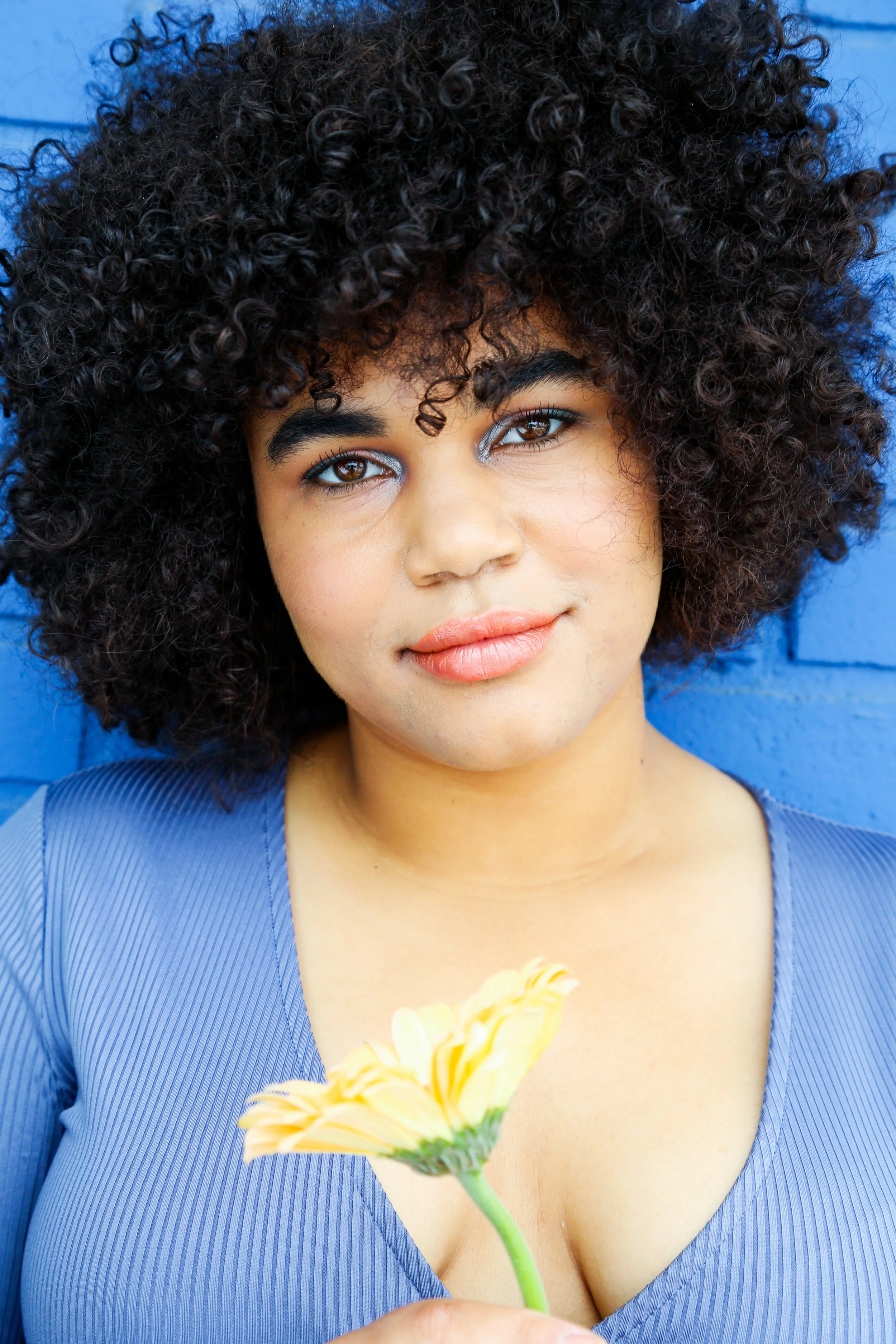 Blair-SB-6a.jpg