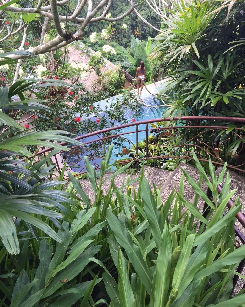 Pictured: Ubud
