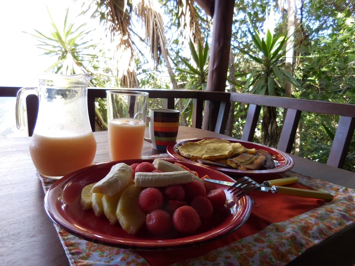 All meals are served in your cabin and I ate my meals outside overlooking the cloud forest.