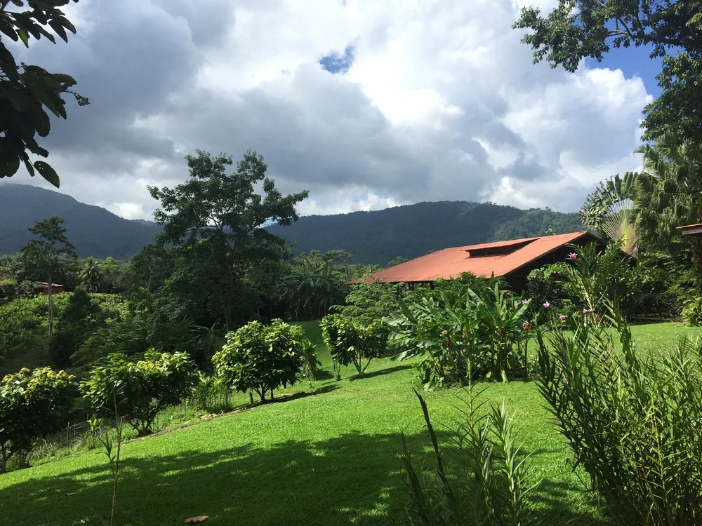 Where to Visit a Chocolate Farm in Costa Rica — MILK + HONEY TRAVELS